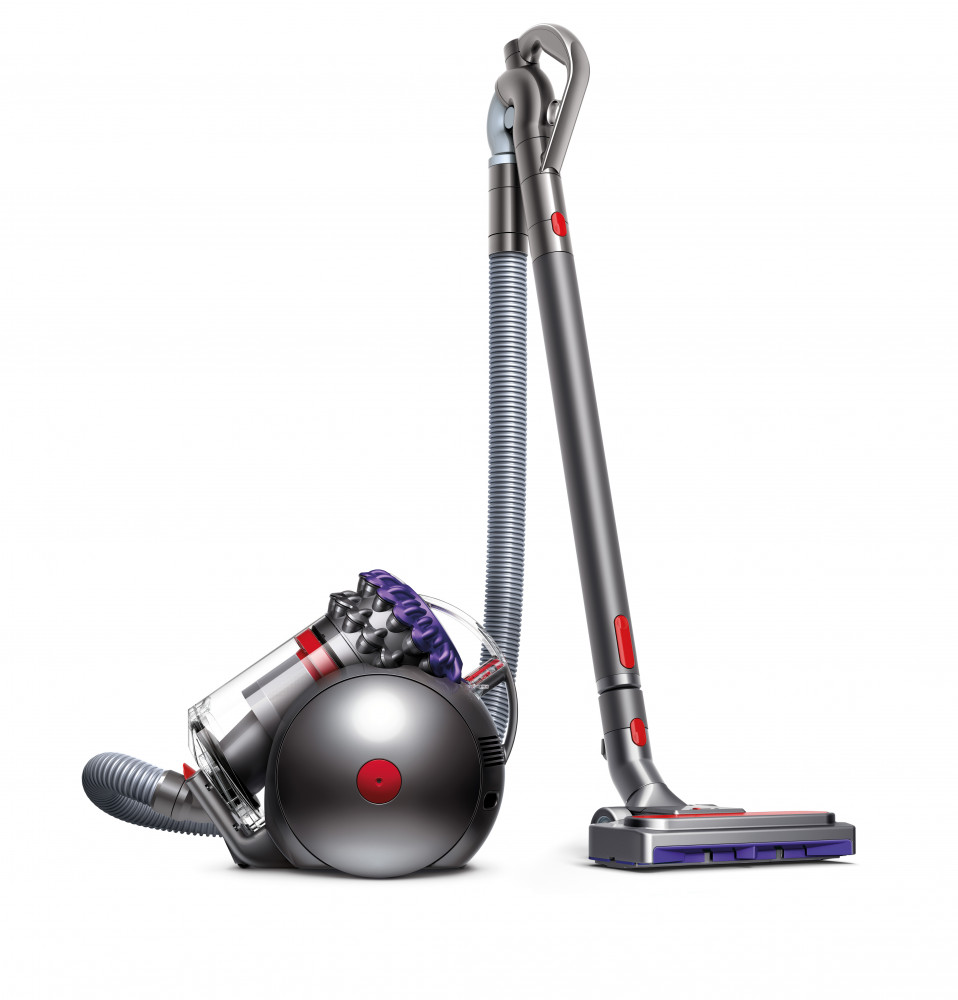 DYSON Big Ball Animal 2