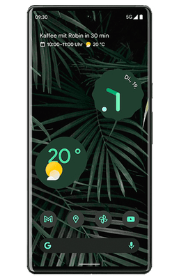 Google Pixel 6 Pro 128GB Black