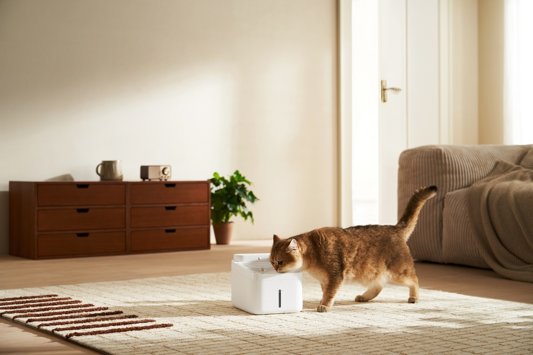 Xiaomi Smart Pet Fountain 2