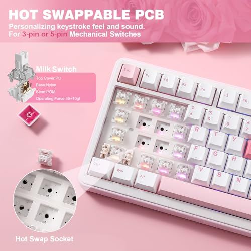 YUNZII B75 PRO Wireless Mechanical Keyboard,75% Gaming Keyboard Gasket Hot Swap Custom Keyboard with Knob,Pre-lubed Switches RGB,Bluetooth/Type-C/2.4G (White, Milk Switch)